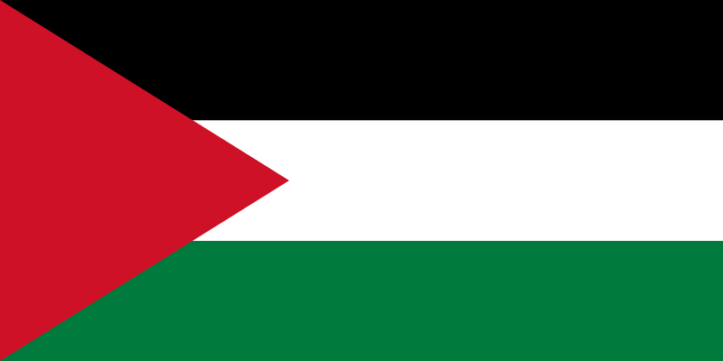 флаг палестины изображение - flag palestine picture